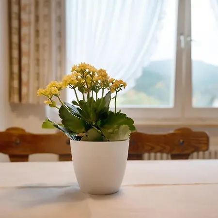 Appartement Matteit - Erholung & Pur Im Schwarzwald *