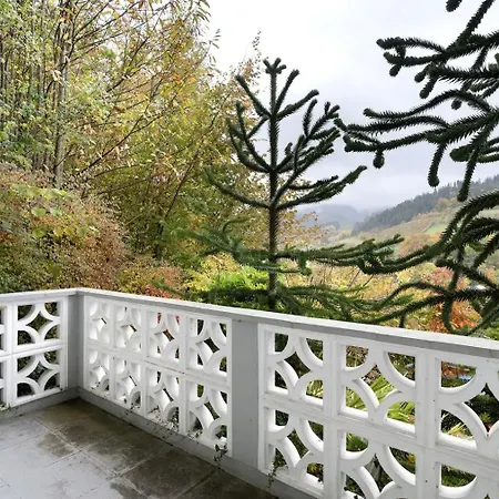Matteit - Erholung & Pur Im Schwarzwald Bad Peterstal-Griesbach